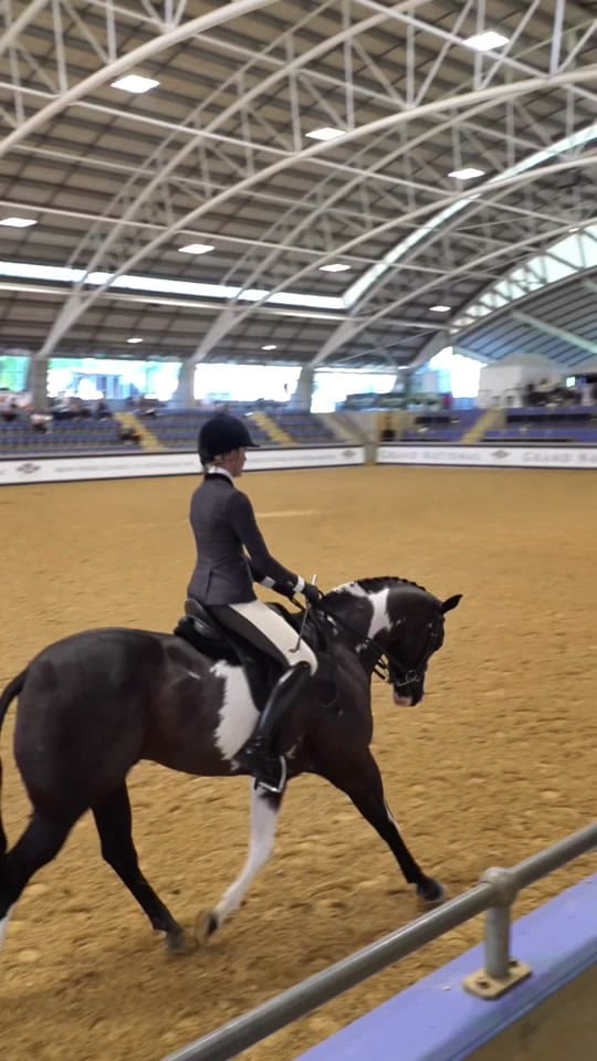Post 7 by HLS TRICK RIDING on TikTok (video)