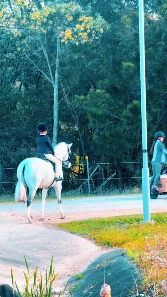 Post 1 by HLS TRICK RIDING on TikTok (video)