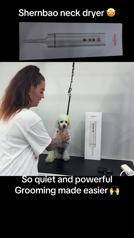 Post 2 by TheAussieDogGroomer on TikTok (video)