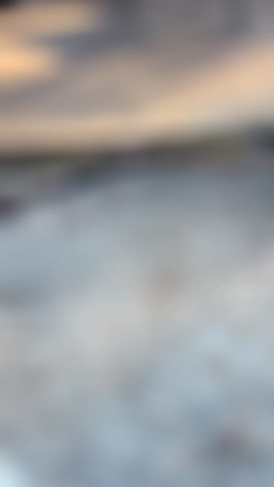 Post 1 by TheAussieDogGroomer on TikTok (video)