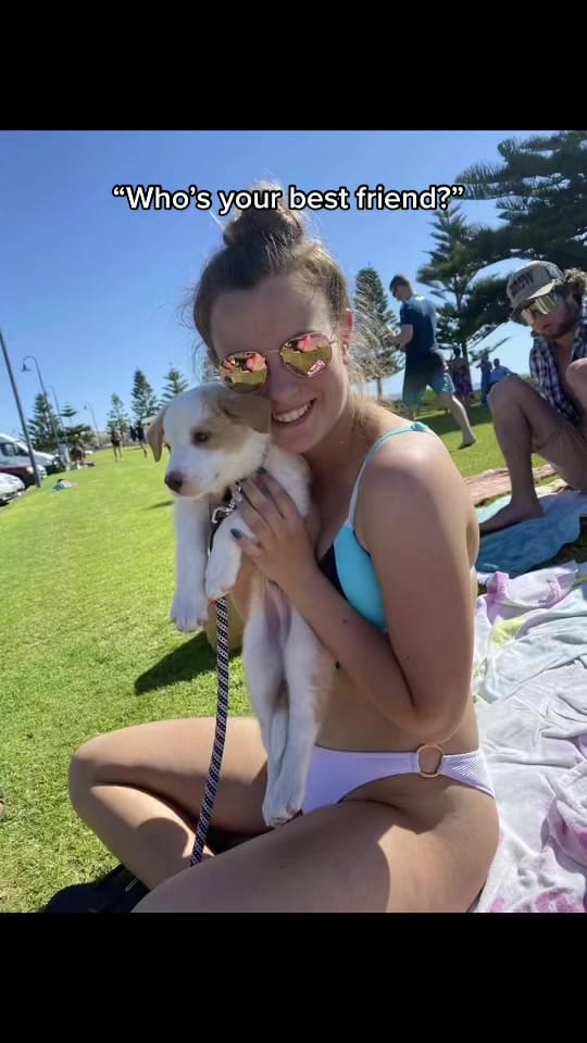Post 6 by Tamara Bakker on TikTok (video)