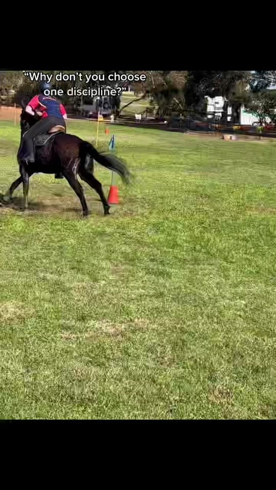 Post 1 by Tamara Bakker on TikTok (video)