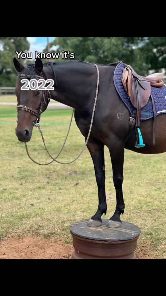 Post 7 by Tamara Bakker on TikTok (video)
