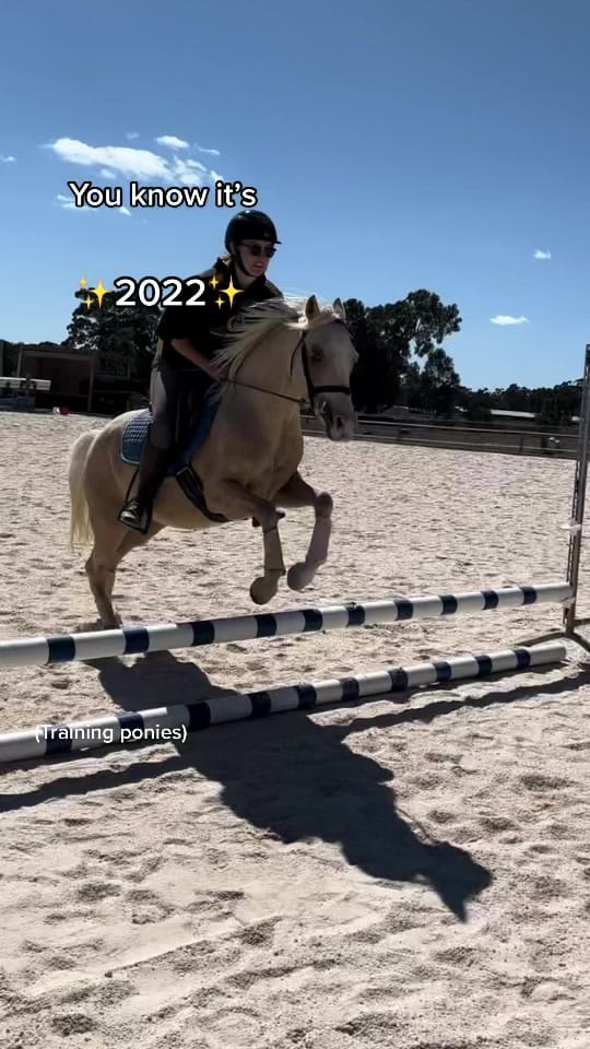 Post 8 by Tamara Bakker on TikTok (video)