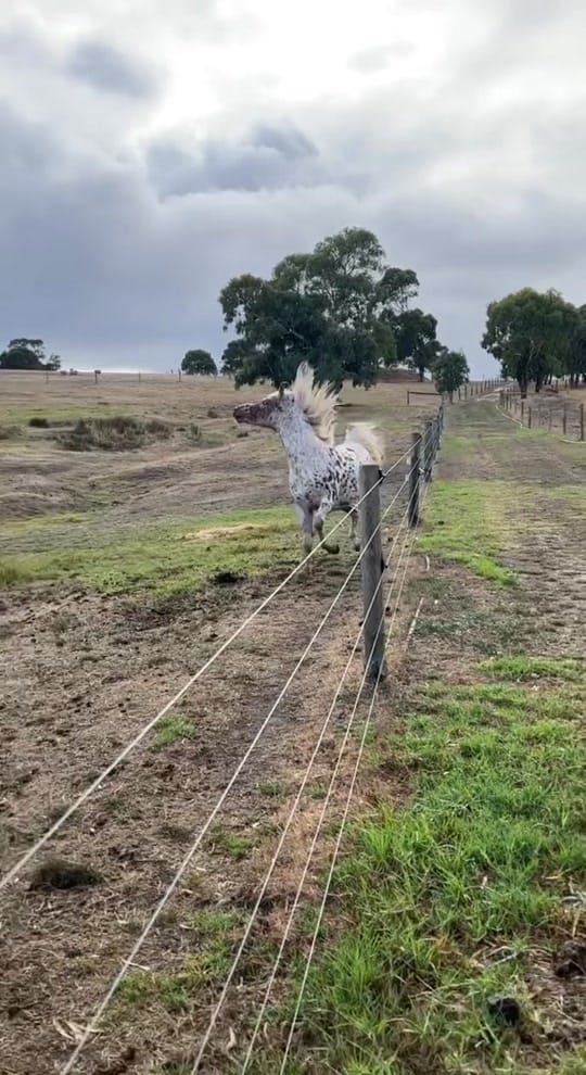 Post 5 by Tamara Bakker on TikTok (video)