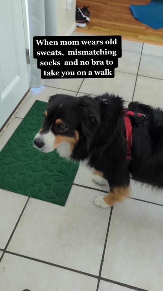 Post 9 by Zoe Marie on TikTok (video)