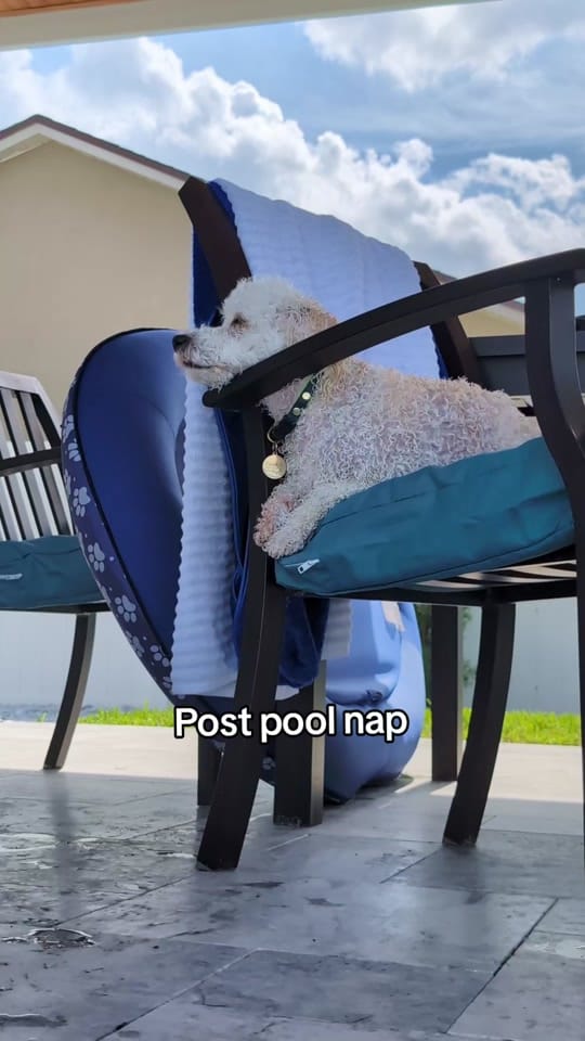 Post 2 by Zoe Marie on TikTok (video)
