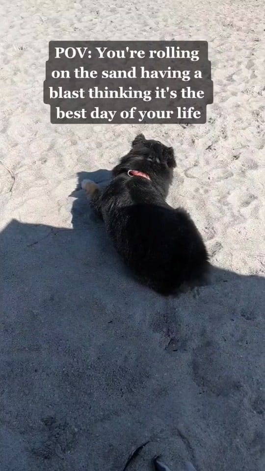 Post 10 by Zoe Marie on TikTok (video)
