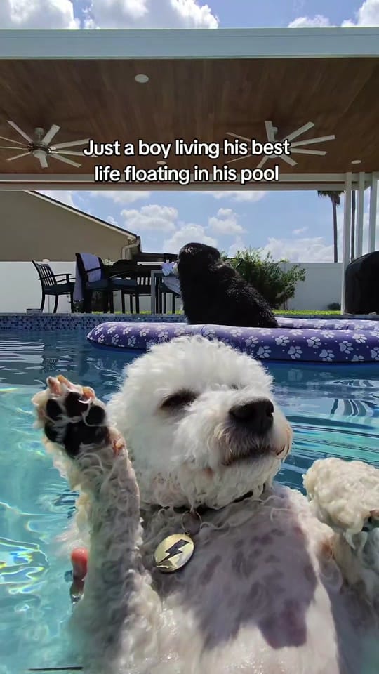 Post 3 by Zoe Marie on TikTok (video)