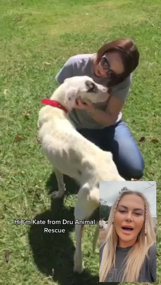 Post 5 by Deathrow Unchained on TikTok (video)