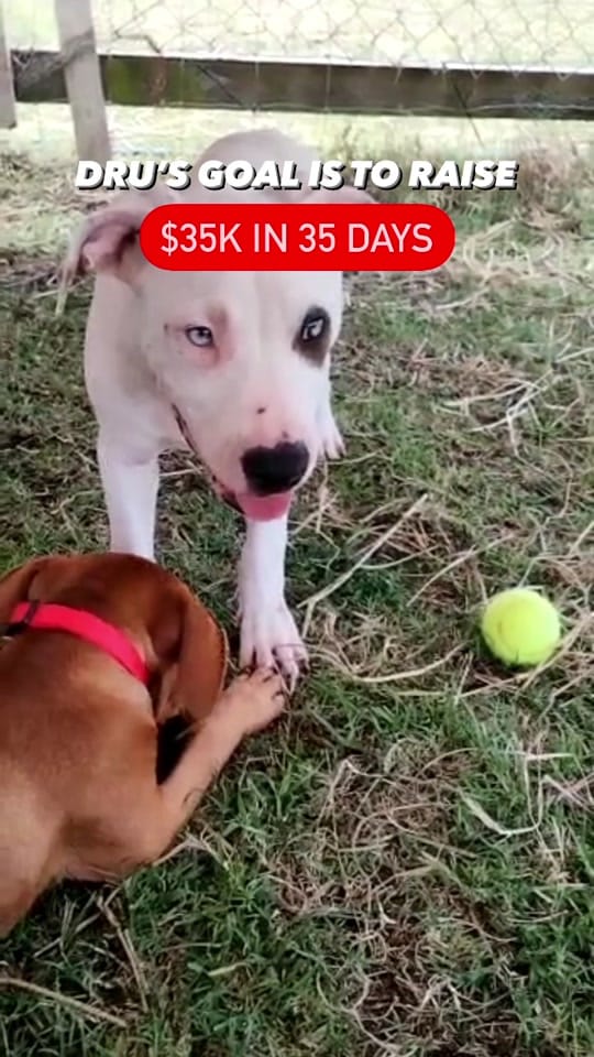 Post 3 by Deathrow Unchained on TikTok (video)