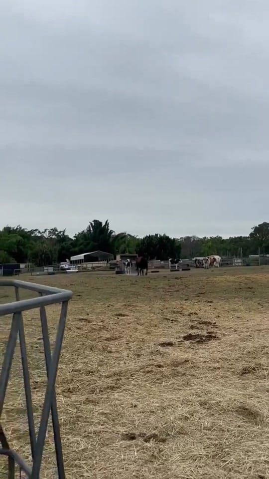 Post 7 by Deathrow Unchained on TikTok (video)
