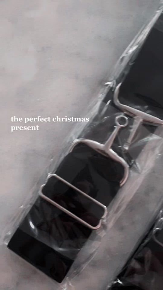 Post 7 by Kingston Equestrian on TikTok (video)