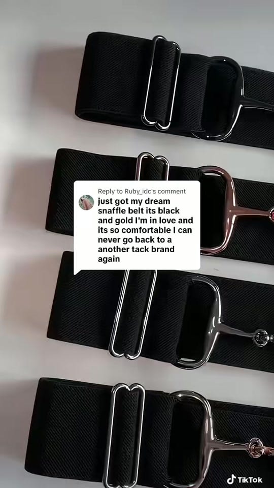 Post 6 by Kingston Equestrian on TikTok (video)