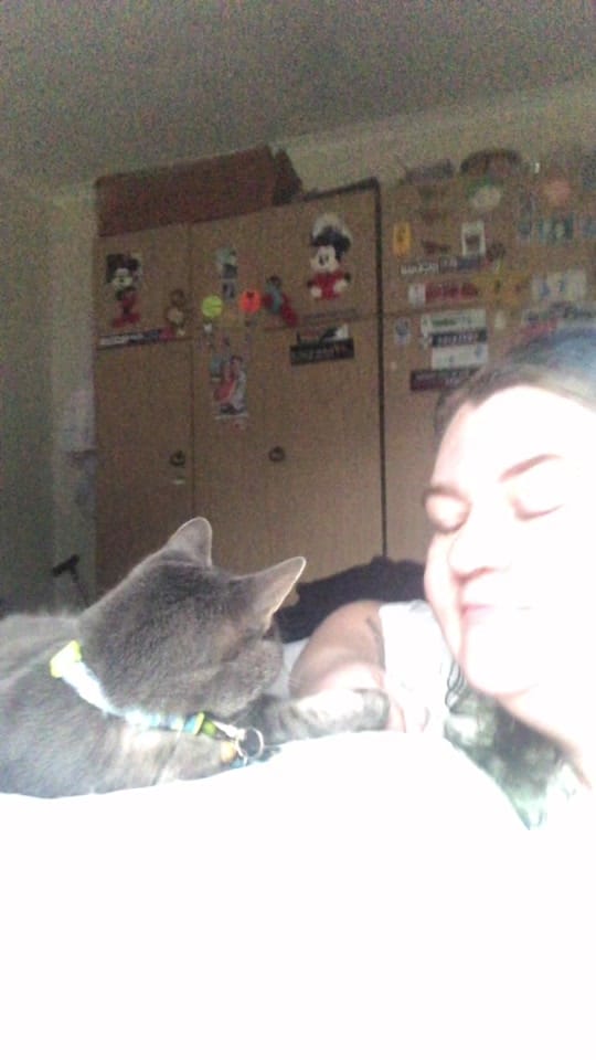 Post 3 by Vanessa Ann Sutton on TikTok (video)