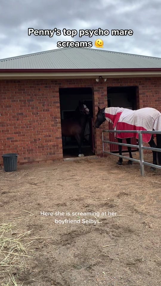 Post 9 by EventingLola on TikTok (video)
