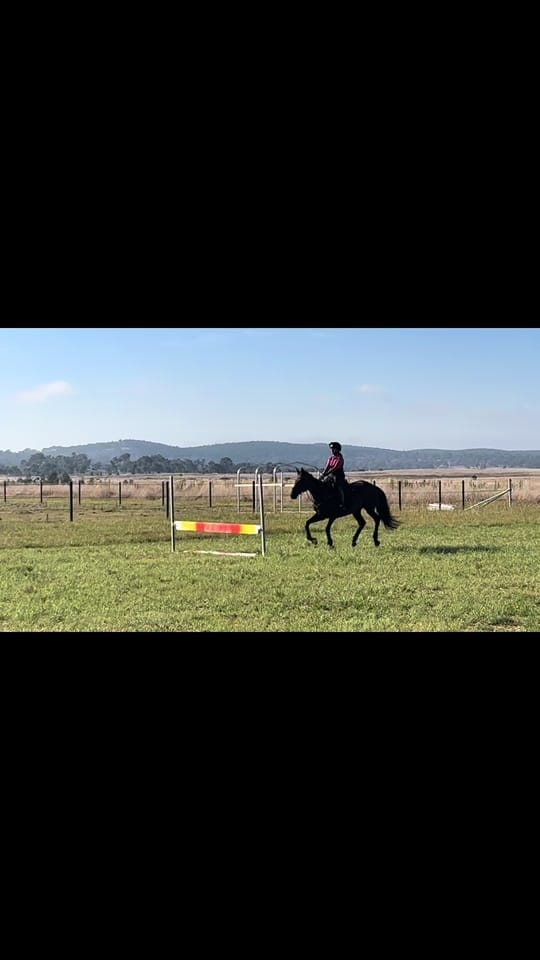 Post 7 by EventingLola on TikTok (video)