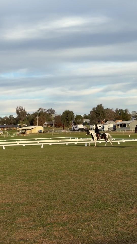 Post 5 by EventingLola on TikTok (video)