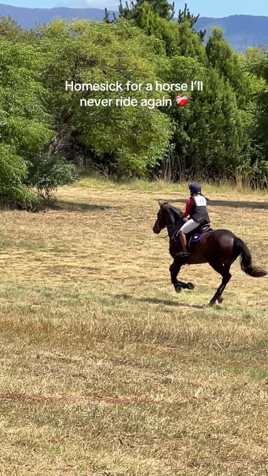 Post 3 by EventingLola on TikTok (video)