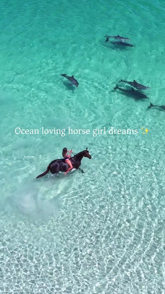 Post 3 by My Pilbara Equestrian Life 🐎 on TikTok (video)
