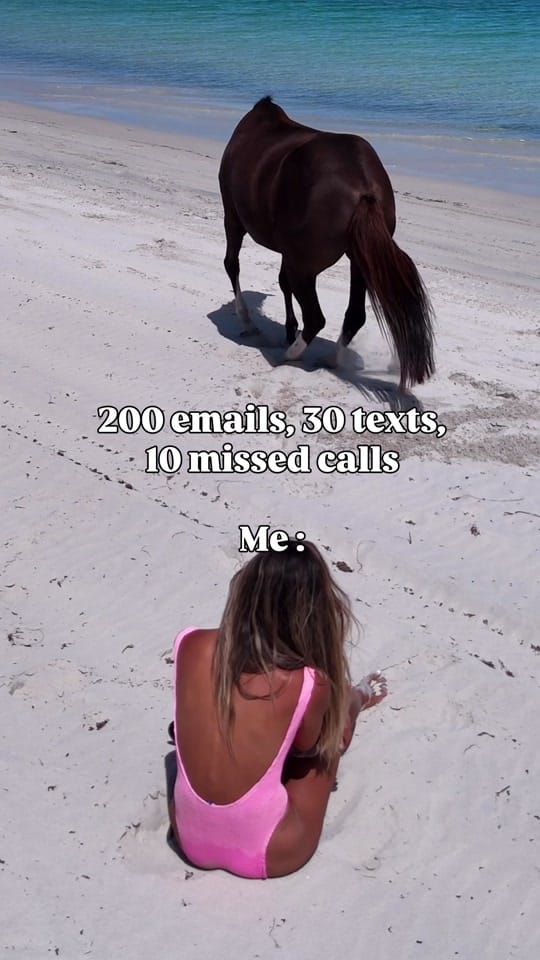 Post 1 by My Pilbara Equestrian Life 🐎 on TikTok (video)