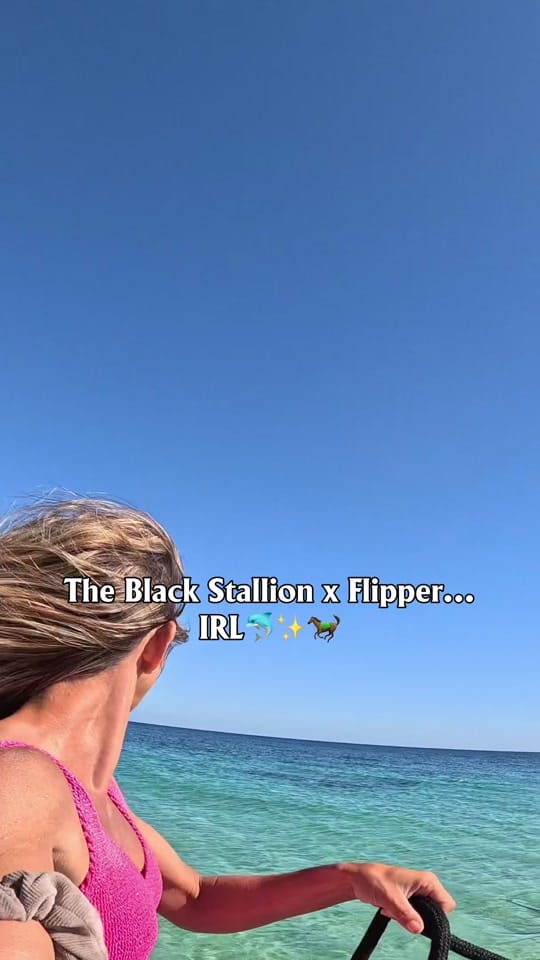 Post 5 by My Pilbara Equestrian Life 🐎 on TikTok (video)