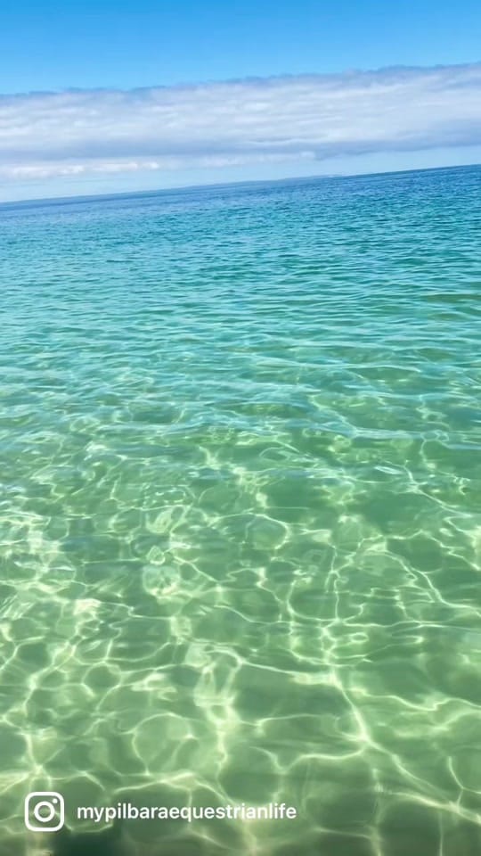 Post 10 by My Pilbara Equestrian Life 🐎 on TikTok (video)