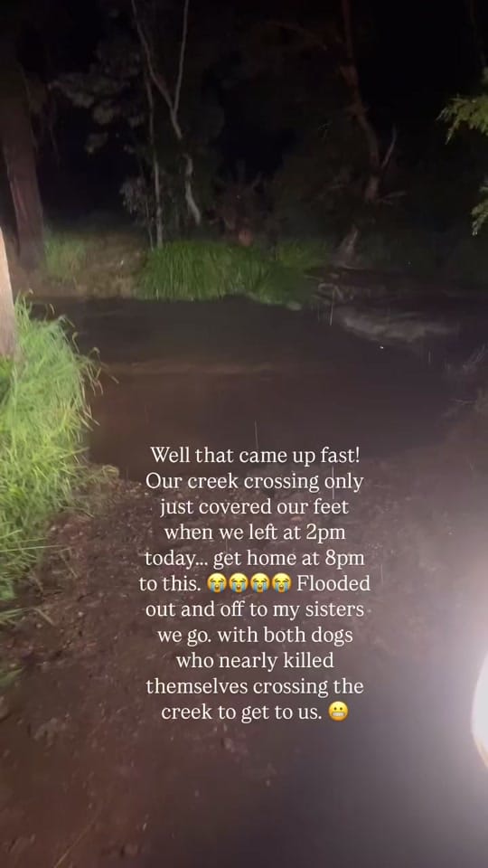 Post 5 by Animal Girl 🦇🐍🐋 on TikTok (video)