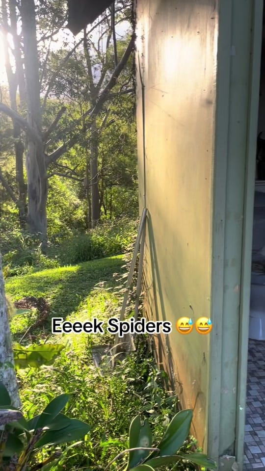 Post 4 by Animal Girl 🦇🐍🐋 on TikTok (video)