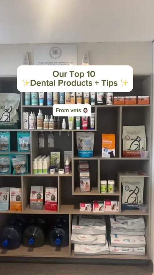 Post 7 by Great Western Animal Hospital on TikTok (video)