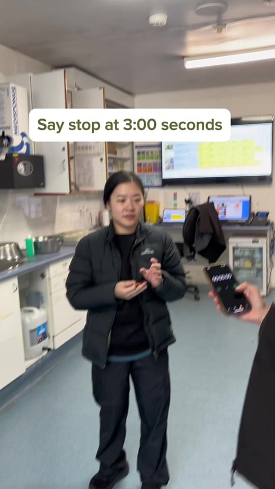 Post 5 by Great Western Animal Hospital on TikTok (video)