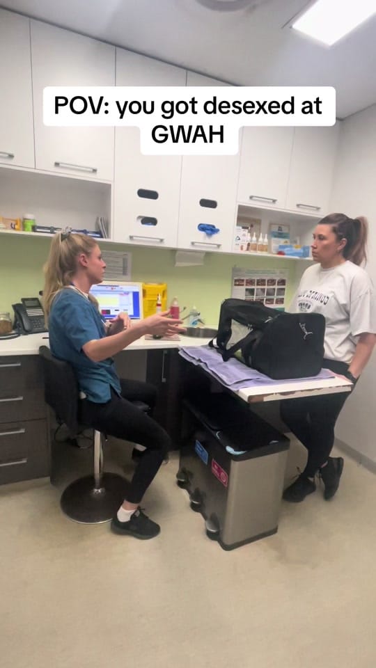 Post 9 by Great Western Animal Hospital on TikTok (video)