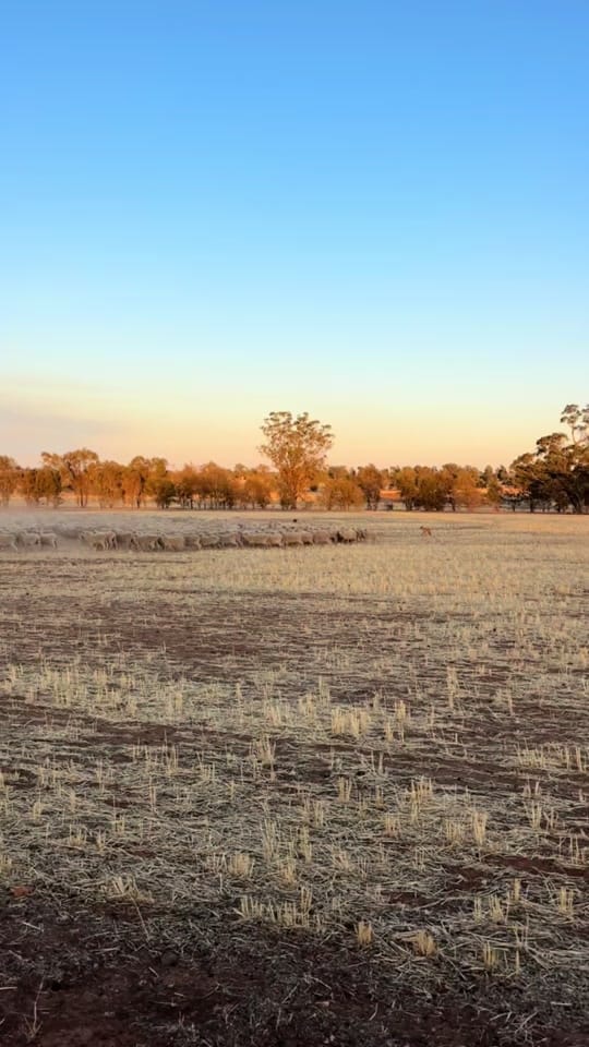 Post 2 by Ben Hart on TikTok (video)