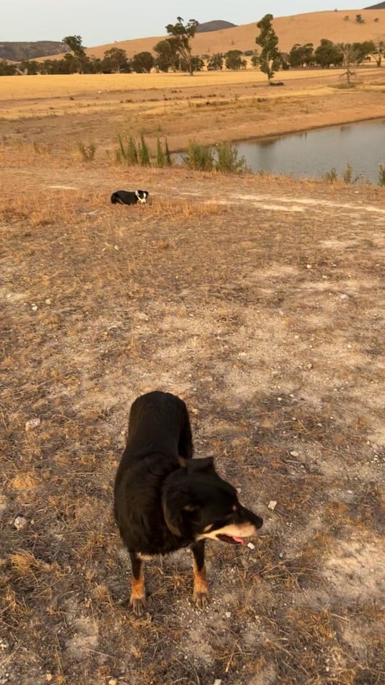 Post 7 by Ben Hart on TikTok (video)