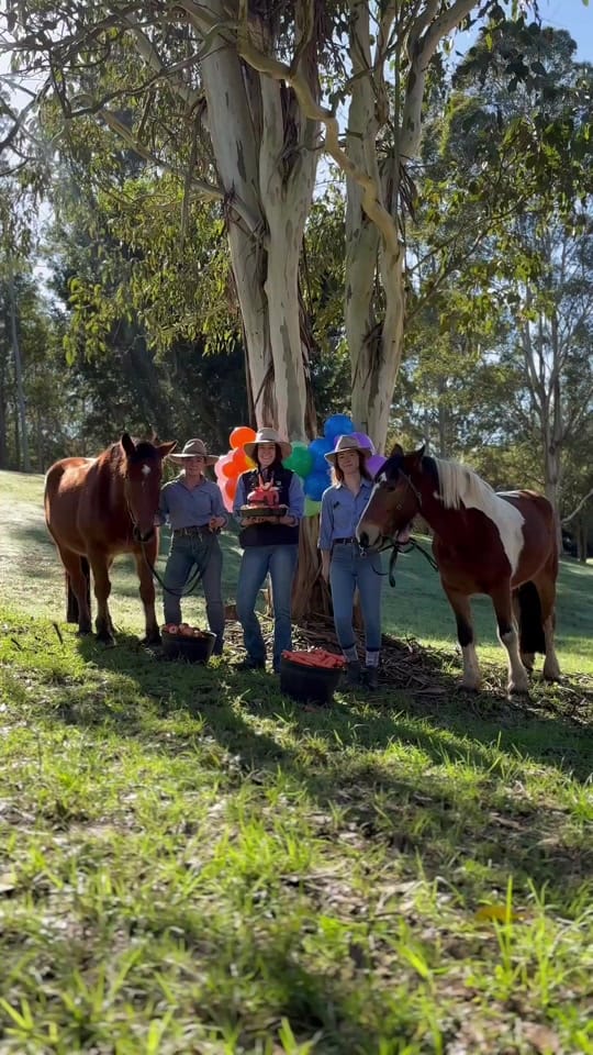 Post 3 by Glenworth Valley Adventures on TikTok (video)