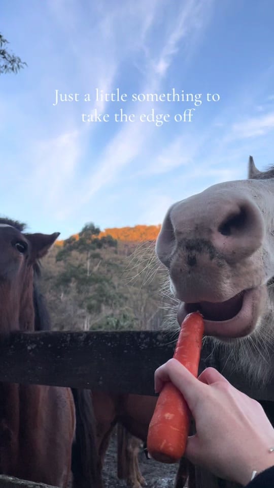 Post 5 by Glenworth Valley Adventures on TikTok (video)