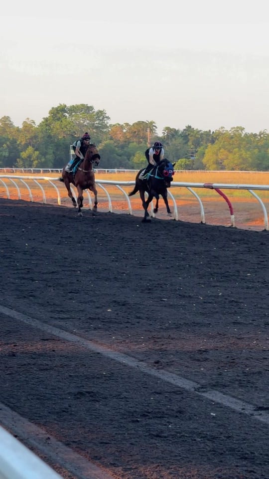 Post 5 by racing vids. on TikTok (video)