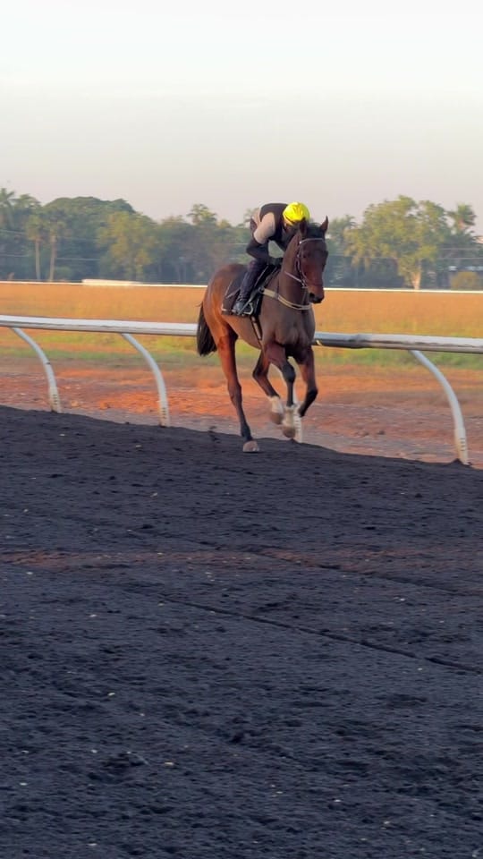 Post 7 by racing vids. on TikTok (video)