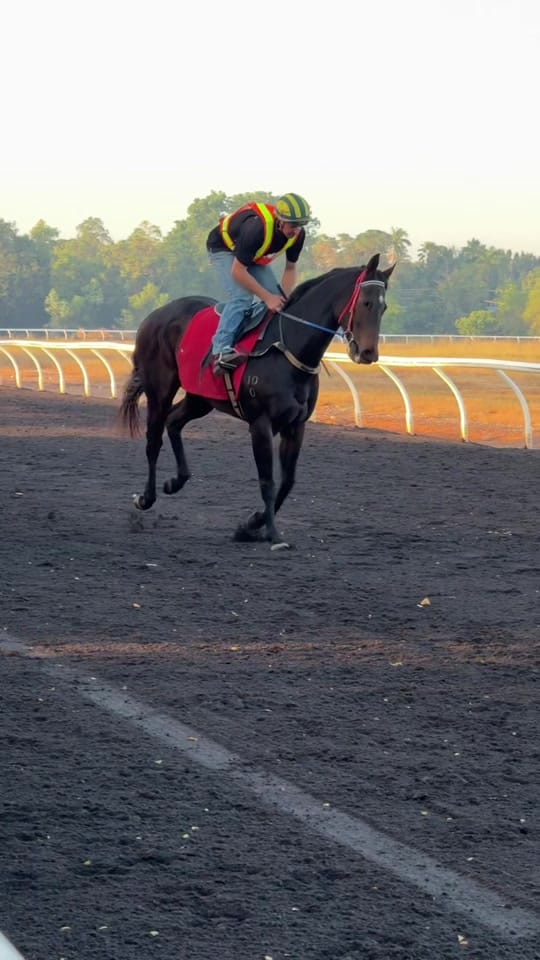 Post 6 by racing vids. on TikTok (video)