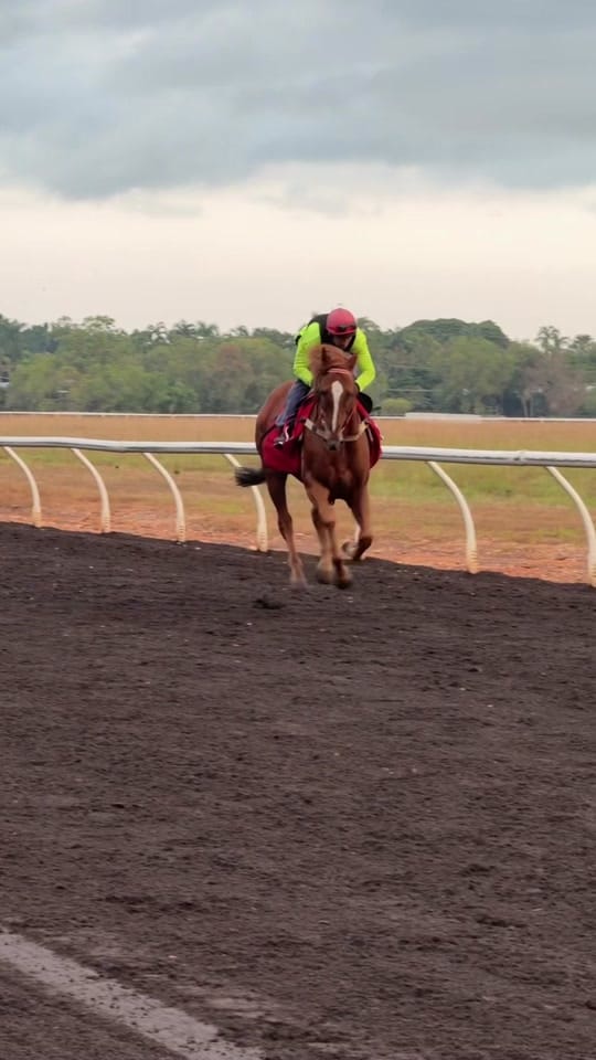 Post 1 by racing vids. on TikTok (video)