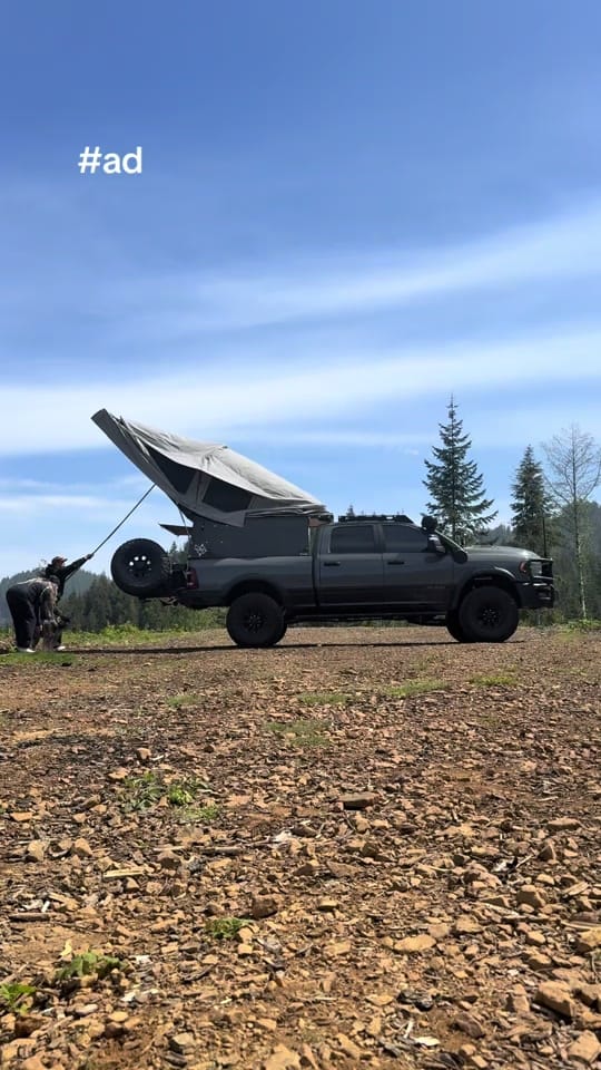 Post 3 by Apollo the ACD on TikTok (video)
