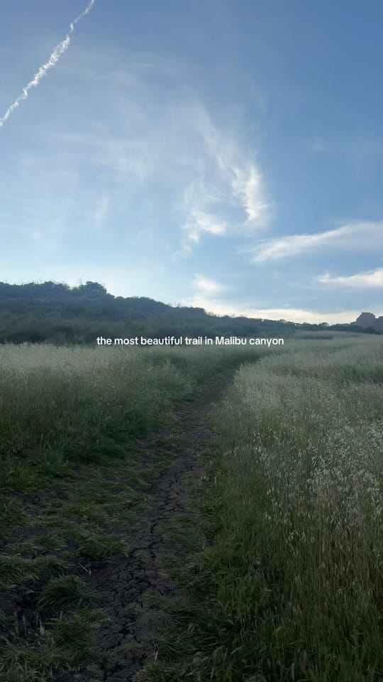Post 6 by Sydney Montana on TikTok (video)