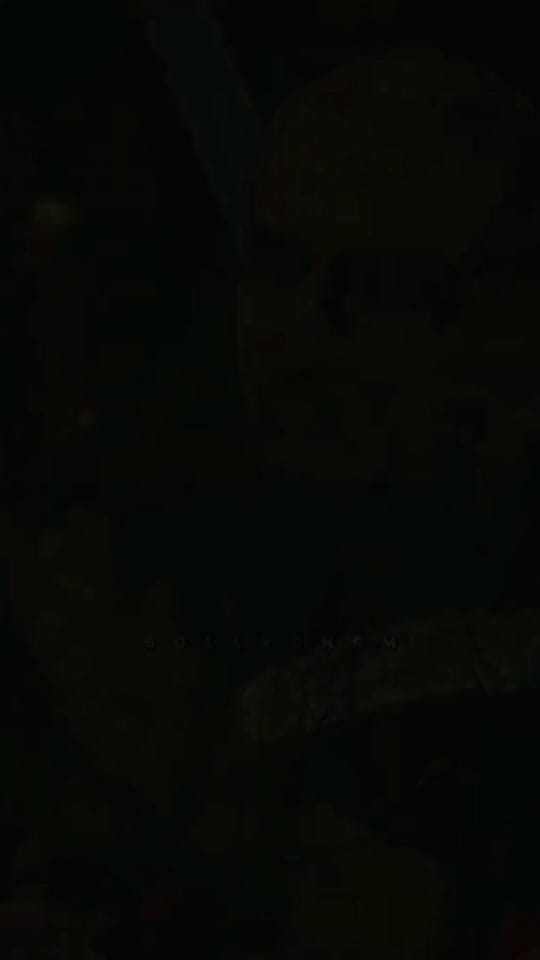 Post 6 by Bollygham on TikTok (video)