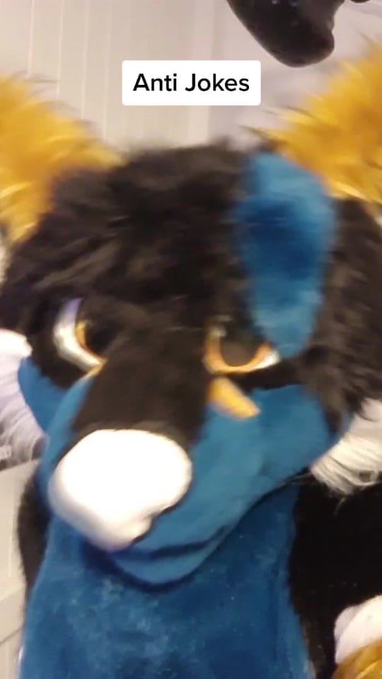 Post 6 by Faux Veritas on TikTok (video)