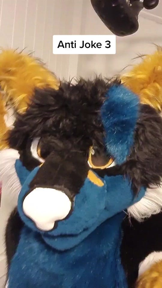 Post 3 by Faux Veritas on TikTok (video)