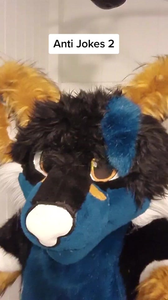 Post 5 by Faux Veritas on TikTok (video)