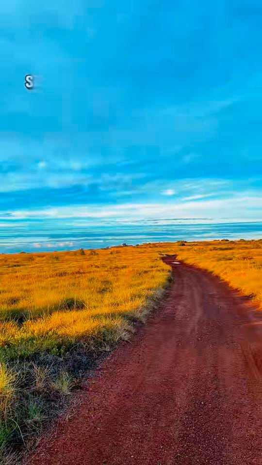 Post 3 by EyeReen on TikTok (video)