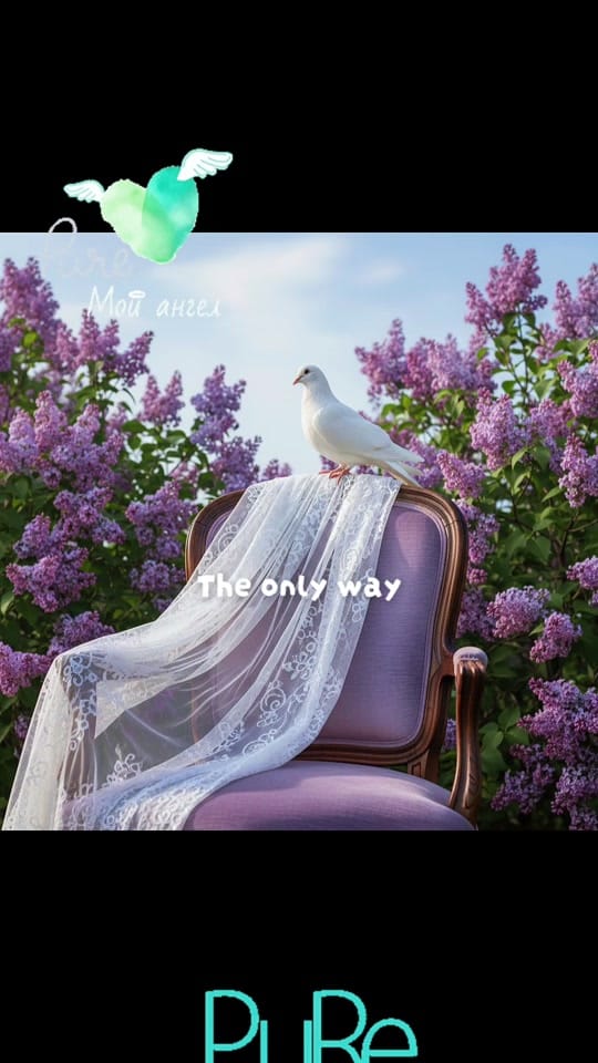 Post 2 by ❌️Limitless_Uplift❌️ on TikTok (video)
