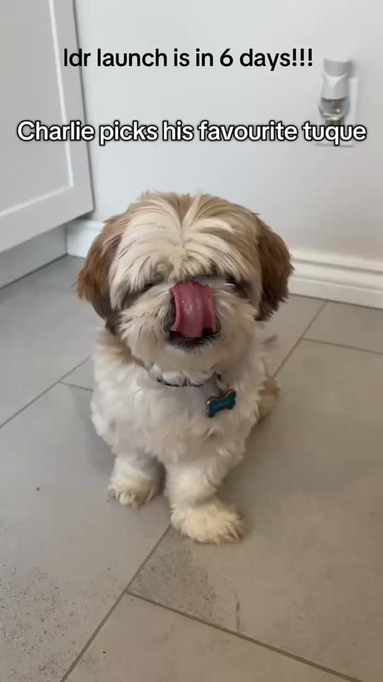 Post 9 by Clark.Bruce on TikTok (video)