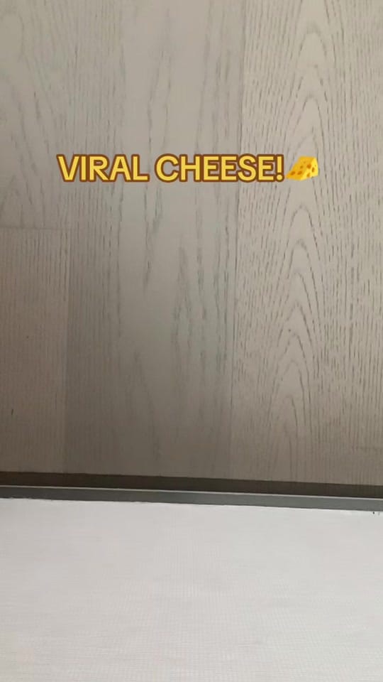 Post 5 by McKenna 💗 on TikTok (video)
